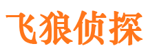 双桥市出轨取证